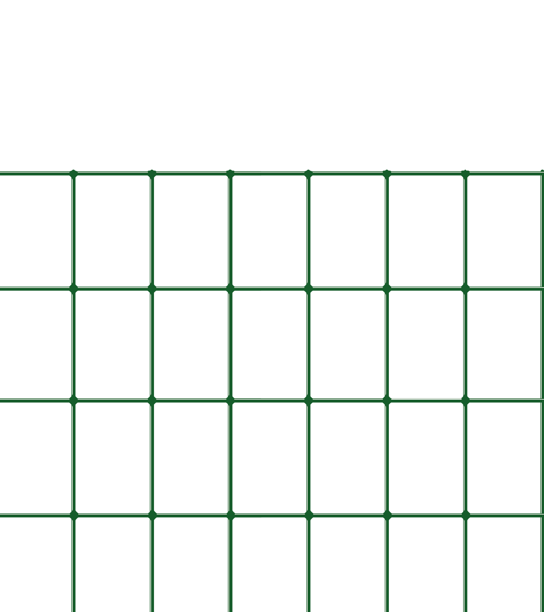 Rete Standard Verde 50x75 L25m H125cm R013