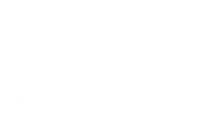 Logo bianco &ndash; Ferro Bulloni
